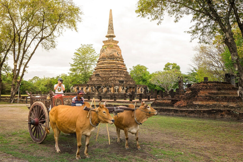 SUK102 - EXPERIENCE LOCAL WAY OF LIFE AND WISDOM